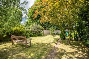 Photo 14- click for photo gallery